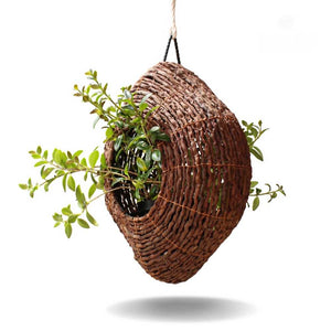 unique exotic hanging planter